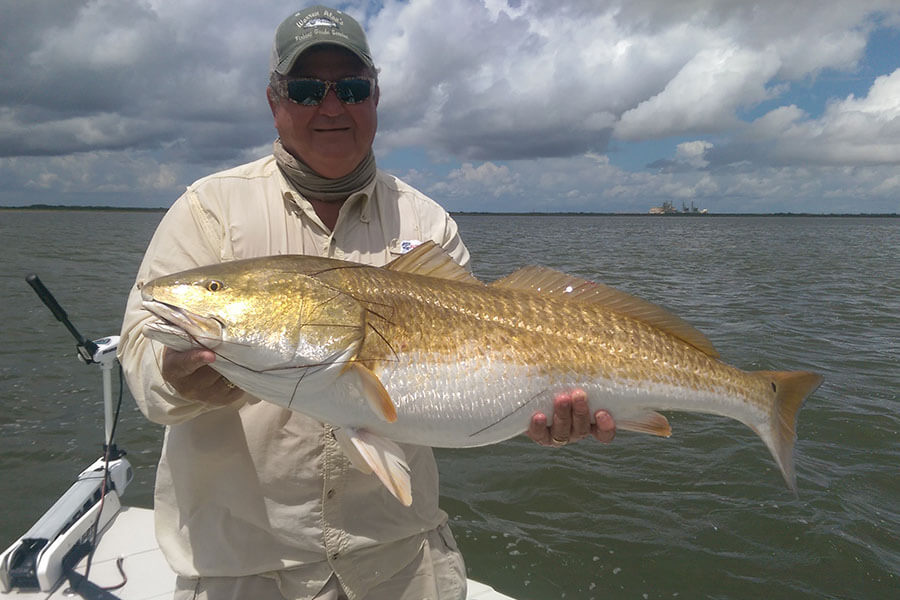 middle aged man holding a red drum fish